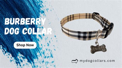 designer dog clothes burberry|Burberry dog collars.